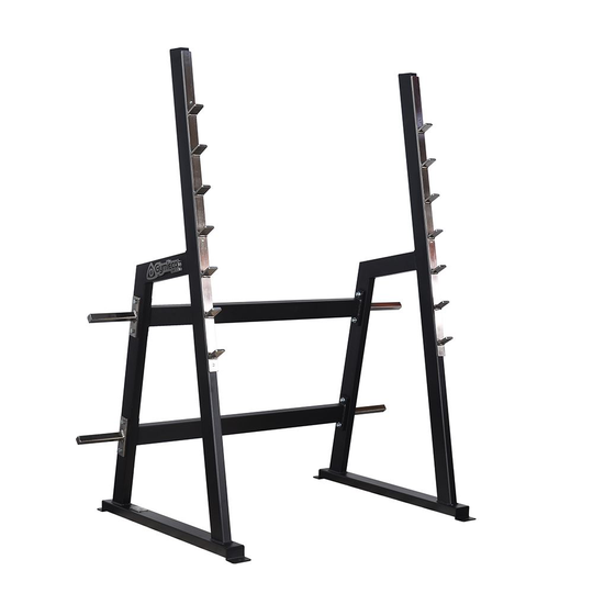 Gymleco Voimailulaite Squat, Levytankotelineet
