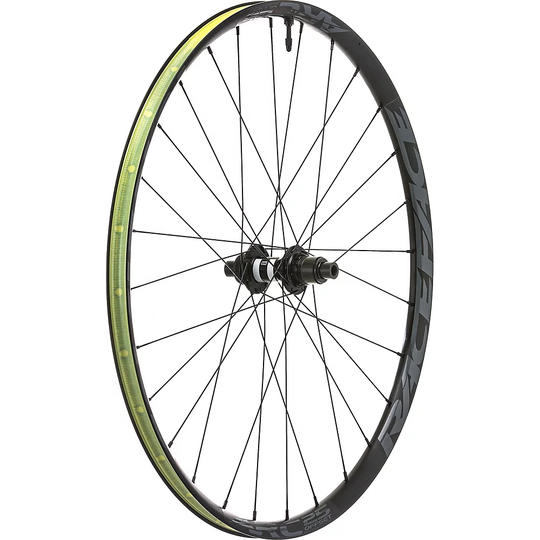 DT Swiss DT 350 on Raceface Arc 25 Rear Wheel - 12 x 142mm - Black, Black
