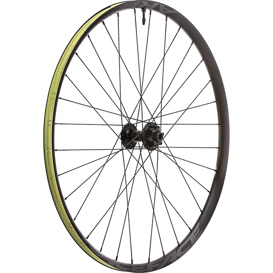 DT Swiss DT370 on RF AR Offset 25 Front Wheel - 15 x 110mm Boost - Black, Black