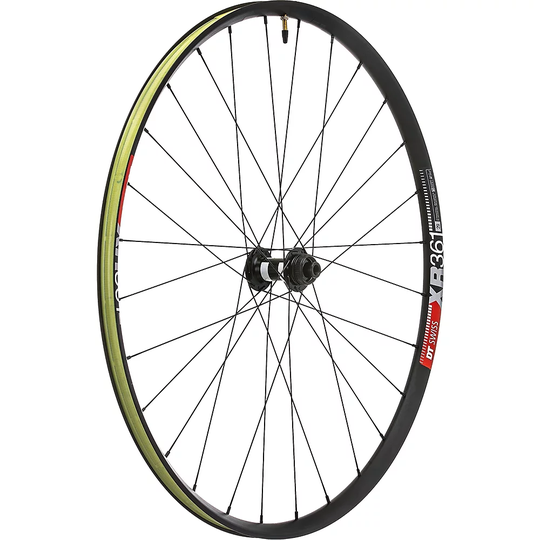 DT Swiss DT 350 CL on XR 361 Asym Front Wheel - 12 x 100mm - Black, Black