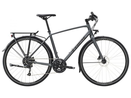 Trek FX 2 Disc Equipped 2023 - Satin Lithium Grey M