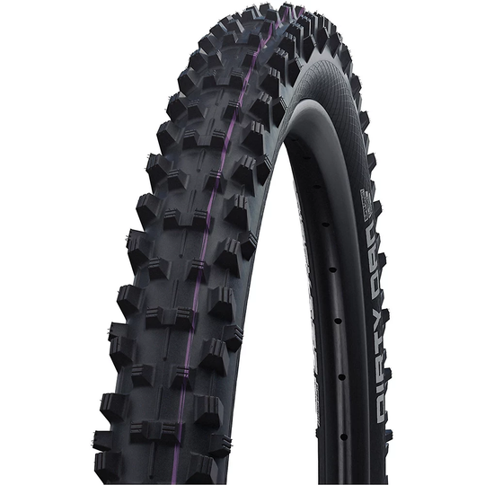 Schwalbe Dirty Dan Evo Super Gravity MTB Tyre - na - Black, Black