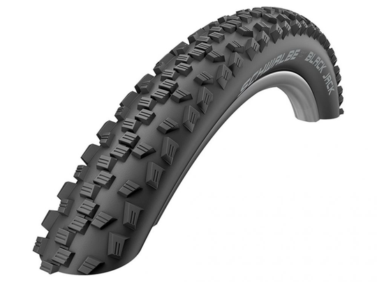Schwalbe Black Jack 18" 47-355