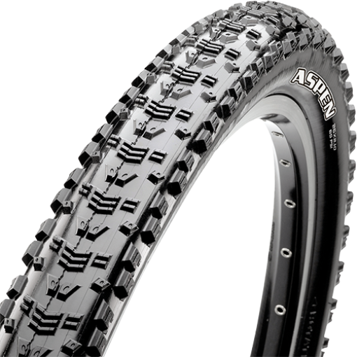 Maxxis Aspen 29x2.25 EXO TR