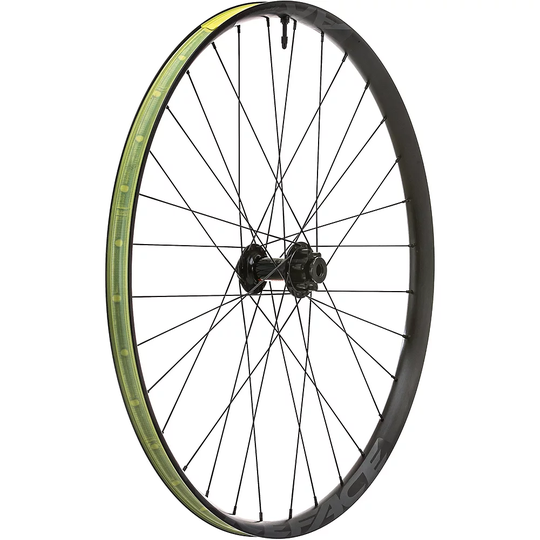 DT Swiss DT370 on RF AR Offset 30 Front Wheel - 15 x 110mm Boost - Black, Black