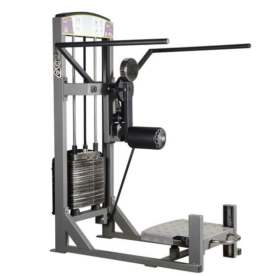 Gymleco Voimailulaite Multihip, Kuntosalilaitteet - Jalat