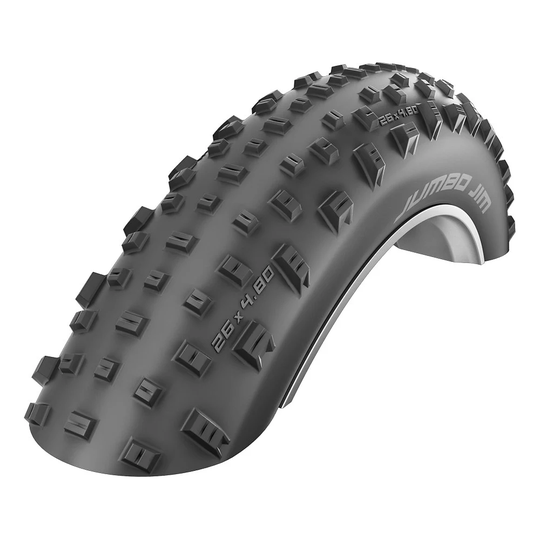 Schwalbe Jumbo Jim Evo FatBike Tyres - SnakeSkin - Folding Bead - Black, Black